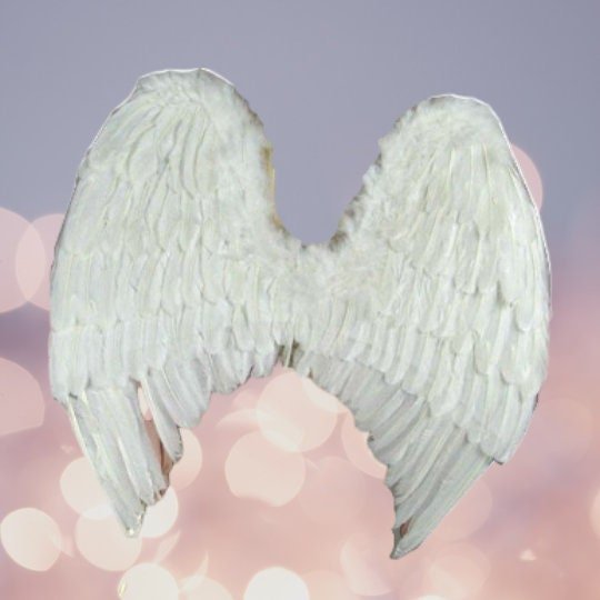 Gran disfraz de Halloween de hada de plumas hecho a mano Alas de ángel 3 colores negro, blanco o rojo con halo gratis para adultos hombres mujeres adolescentes - SACASUSA