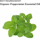 Paquete de 4 bálsamos labiales orgánicos certificados por USDA. 100% orgánico vegano Todos los sabores naturales Pera, menta, cá­tricos, vainilla Chapstick Sin parabenos Sin OGM - SACASUSA