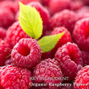 Paquete de 4 bálsamos labiales orgánicos certificados por USDA. Cavegirl Mine Sabor Frambuesa Orgánico Vegano. Hecho en EE.UU. Libre de parabeno. Reparar labios secos y agrietados - SACASUSA